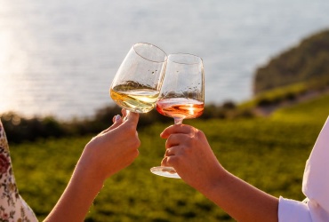 Forbes.com o hrvatskim vinima kao i vinariji Terra madre 