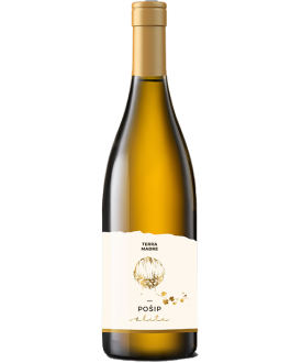 Terra Madre Pošip Elite
