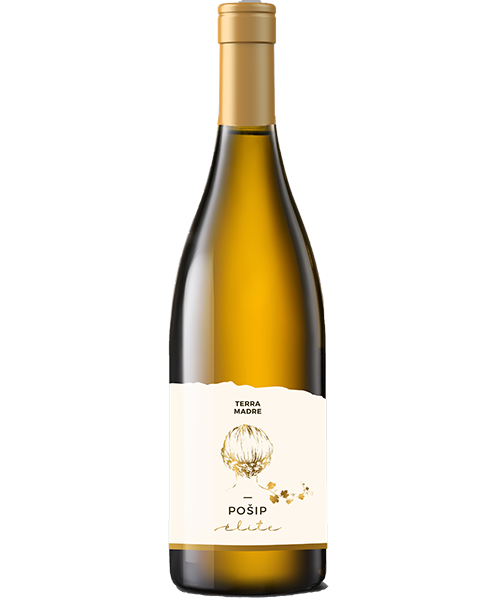 Terra Madre Pošip Elite