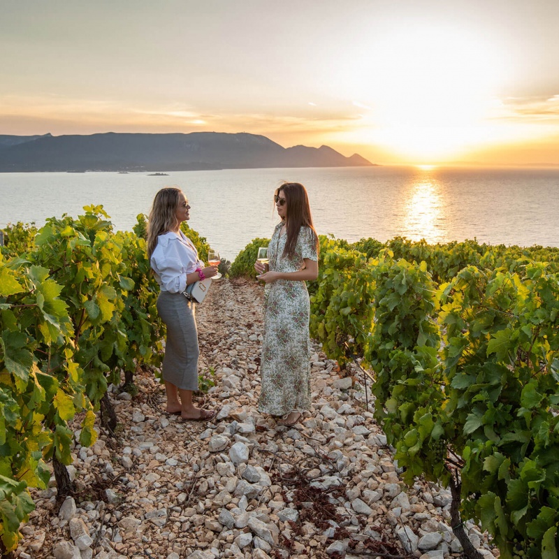 Vina Terra Madre